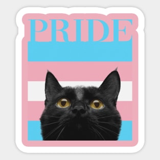 Vintage Black Cat Transgender Pride Sticker